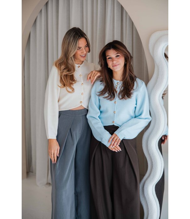 La Rebelle Vestje blauw | Shelly