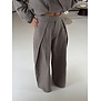 Broek geruit taupe | Astrid