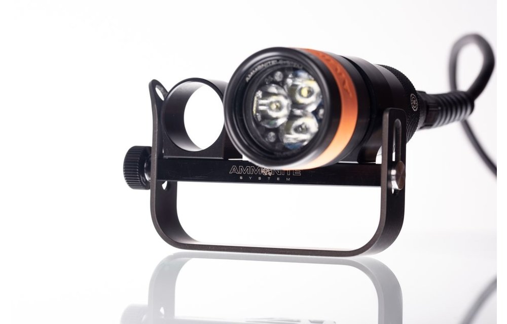 Goodman handle modular + scooter loop