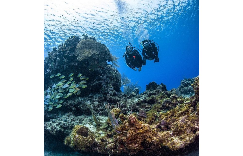 Padi Discover Scuba Diving
