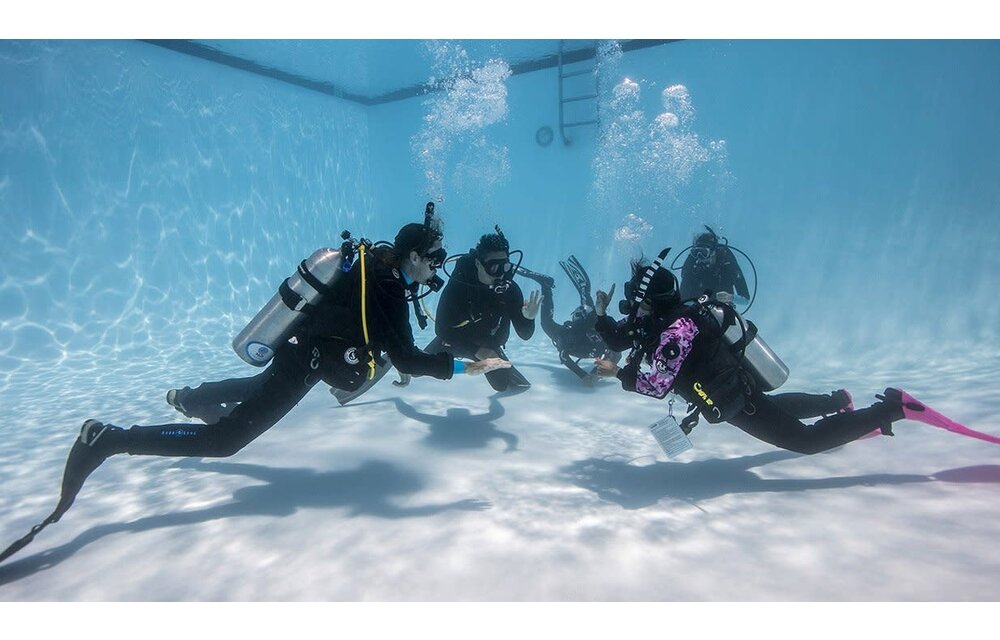 Padi ReActivate