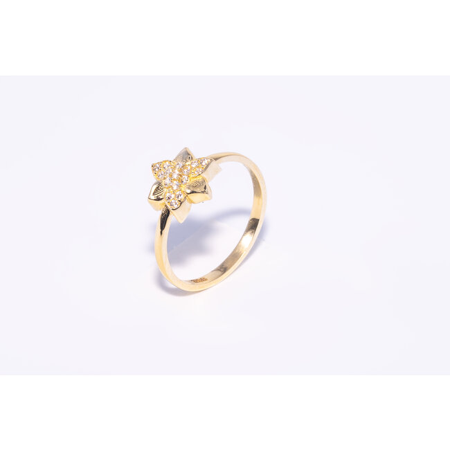 14 krt gouden ring