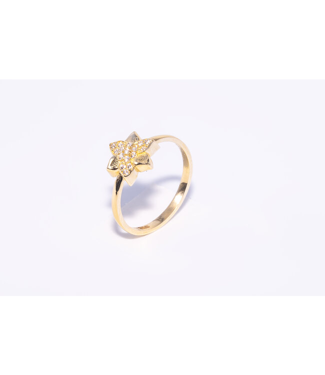 14 krt gouden ring