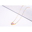 Stainless Steel Collier