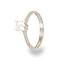 Klassieke Solitaire Ring Witgoud
