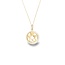 Gouden Hart Collier met Zirkonia