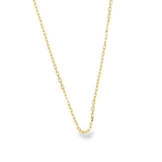 Fijne Gouden Schakel Ketting