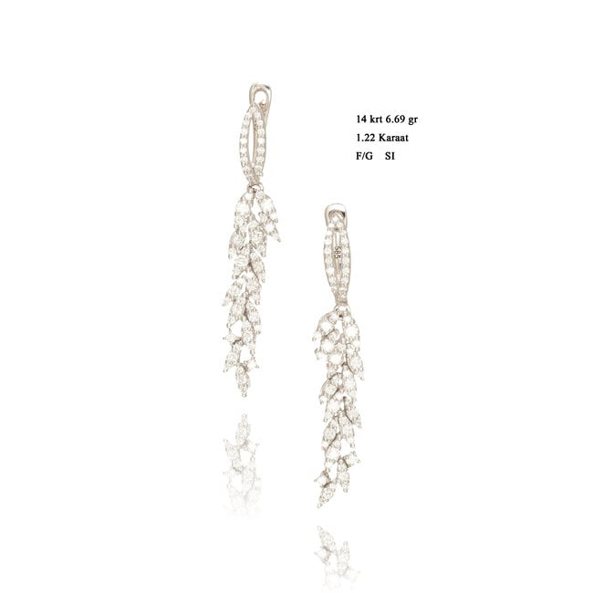 Elegante diamanten oorbellen met luxe schittering