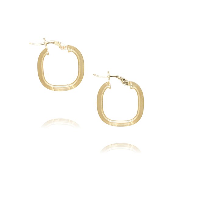 Goldmine 14 Karaat Gouden Oorbel –  Sieraad Voor Iedere Gelegenheid