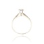 Diamanten Ring