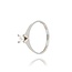 Diamanten Ring