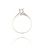 Diamanten Ring