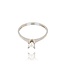Diamanten Ring