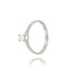 Diamanten Ring