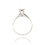 Diamanten Ring