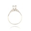 Diamanten Ring