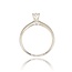 Diamanten Ring