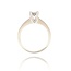 Diamanten Ring
