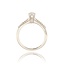 Diamanten Ring