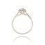 Diamanten Ring