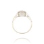 Diamanten Ring