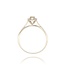 Diamanten Ring