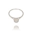 Diamanten Ring