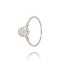 Diamanten Ring
