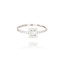 Diamanten Ring