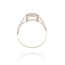 Diamanten Ring
