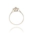 Diamanten Ring