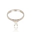 Diamanten Ring