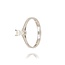 Diamanten Ring