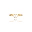 Diamanten Ring