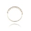 Diamanten Ring