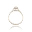 Diamanten Ring