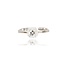 Diamanten Ring