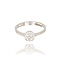 Diamanten Ring
