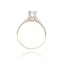 Diamanten Ring