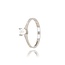 Diamanten Ring