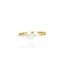 Diamanten Ring