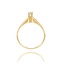Diamanten Ring