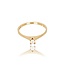 Diamanten Ring