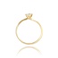 Diamanten Ring