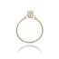 Diamanten Ring
