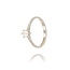 Diamanten Ring