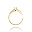 Diamanten Ring