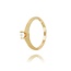 Diamanten Ring