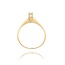 Diamanten Ring