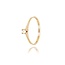 Diamanten Ring